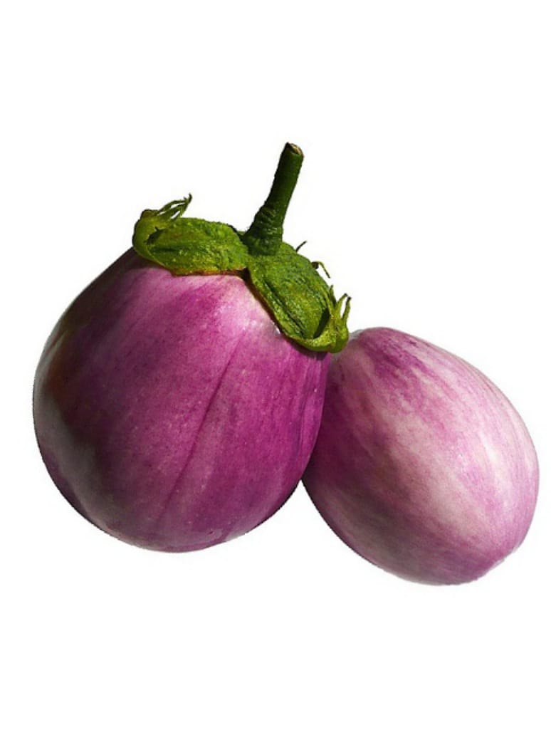 Brinjal Oval Pink Desi - Open Pollination Seeds