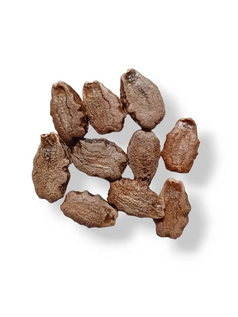 Desi Snake Gourd Dark Green Seed-Open Pollination