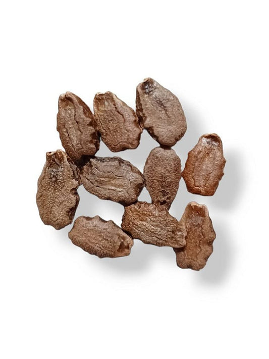 Desi Snake Gourd Dark Green Seed-Open Pollination