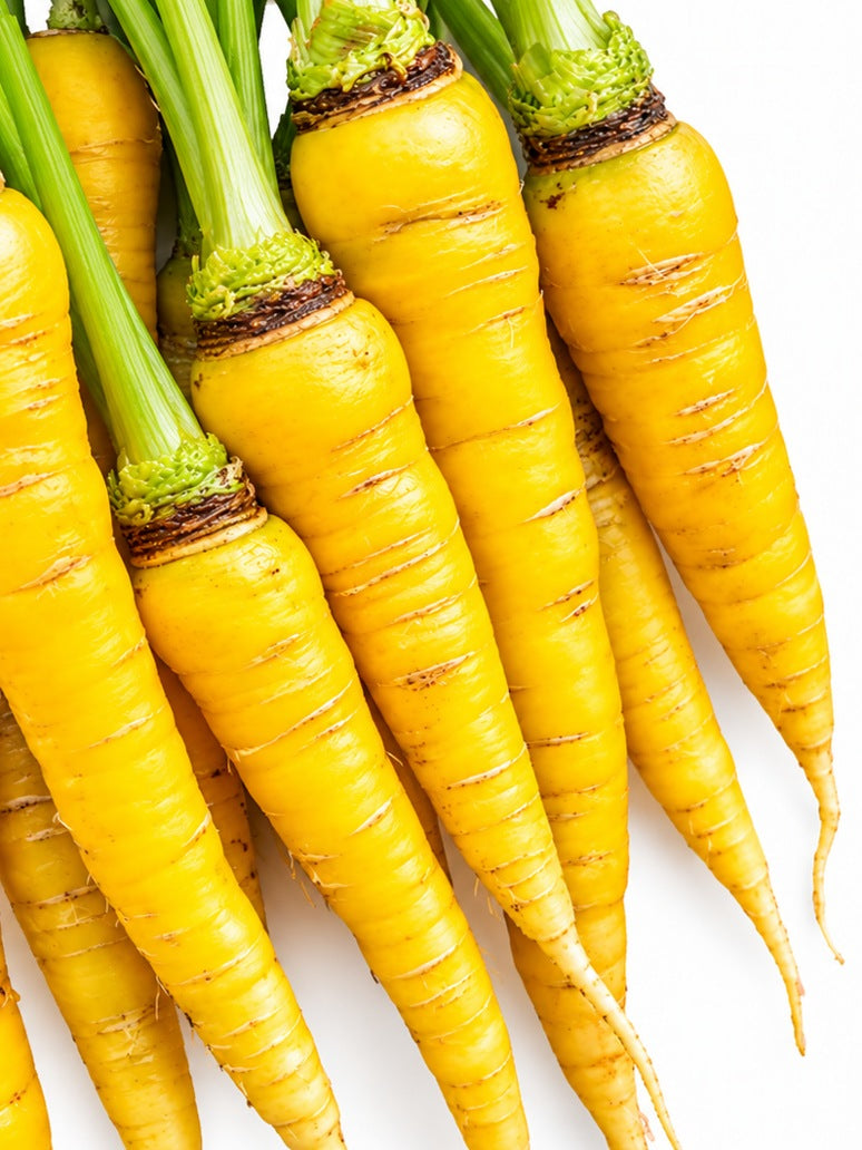 Carrot Yellow-Open Pollination Seeds