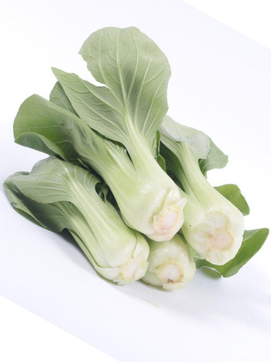 Pak Choi-Bok Choi-Imported Seeds