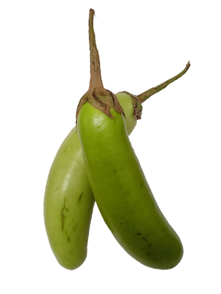 Brinjal Long Green - Hybrid Seeds