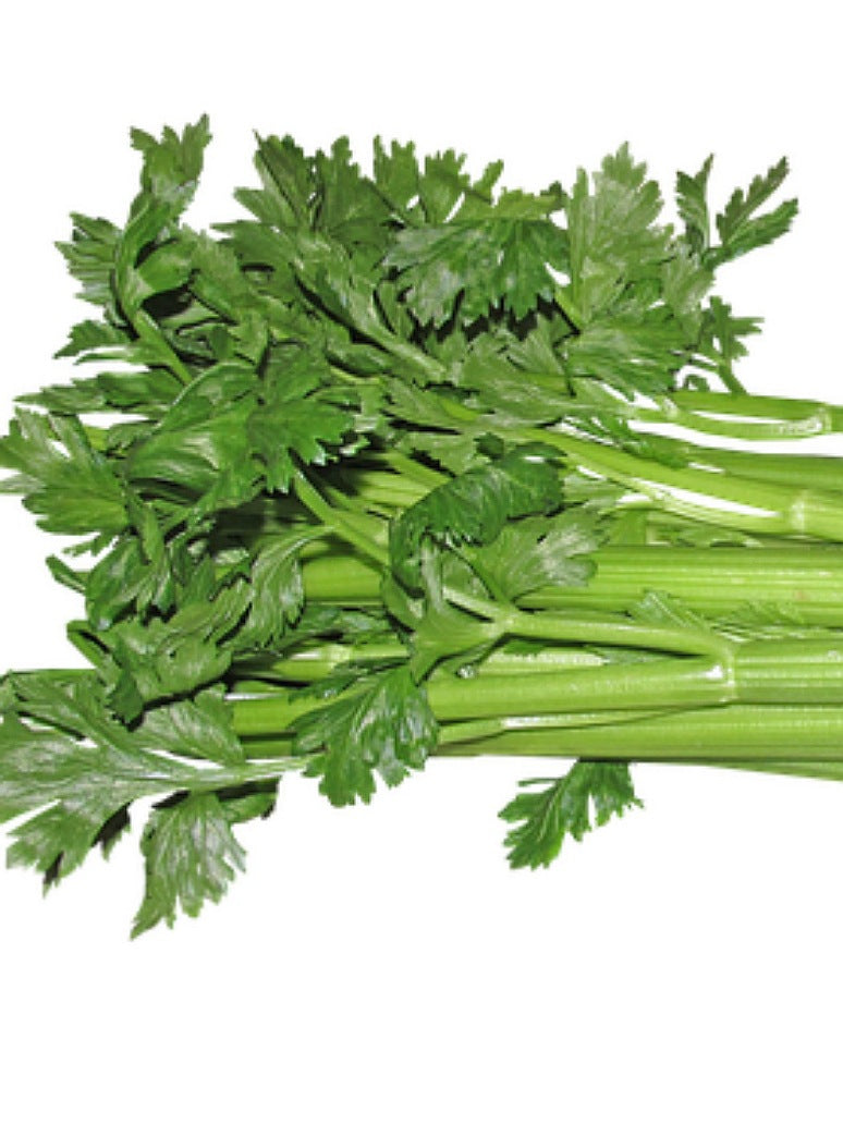 Celery-Open Pollinaton Seeds