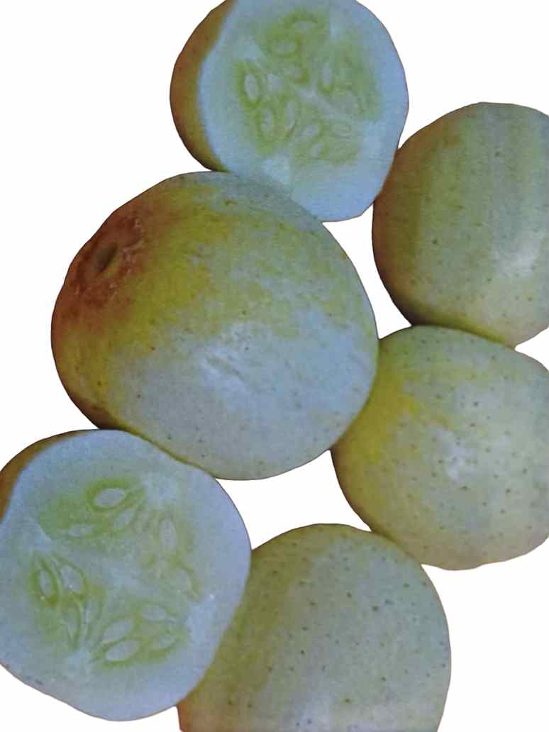 Cucumber Yellow Round-Hybrid Seeds