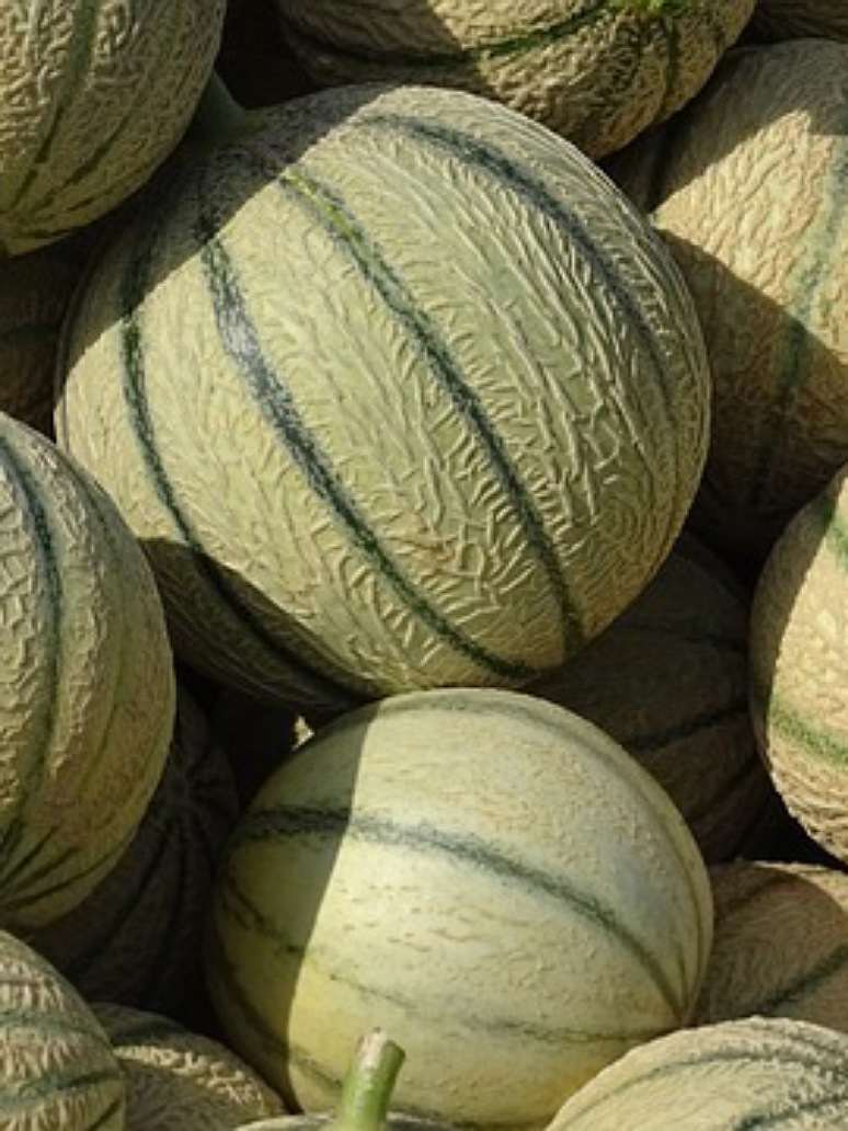 Desi Muskmelon- Open Pollination Seed