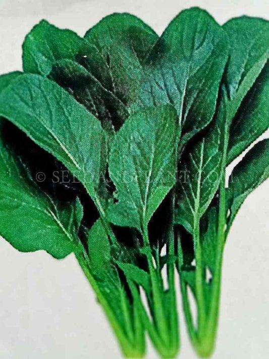 Kashmiri Saag-Seeds (Open Pollinated)