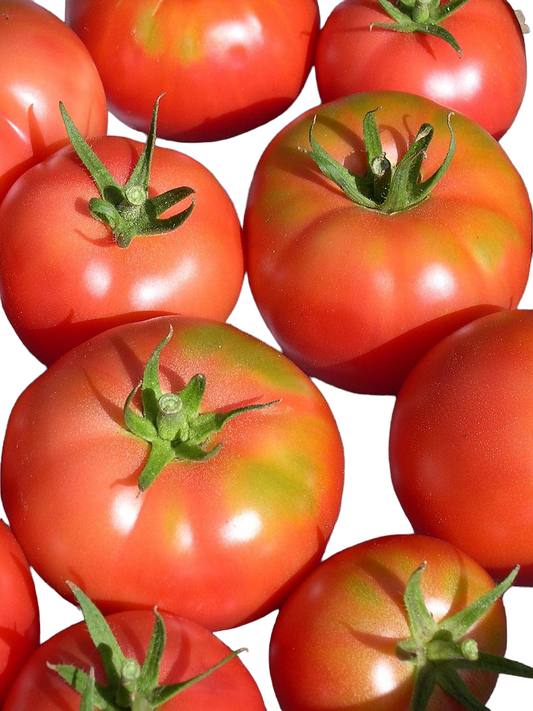 Tomato Round -Open Pollination Seeds