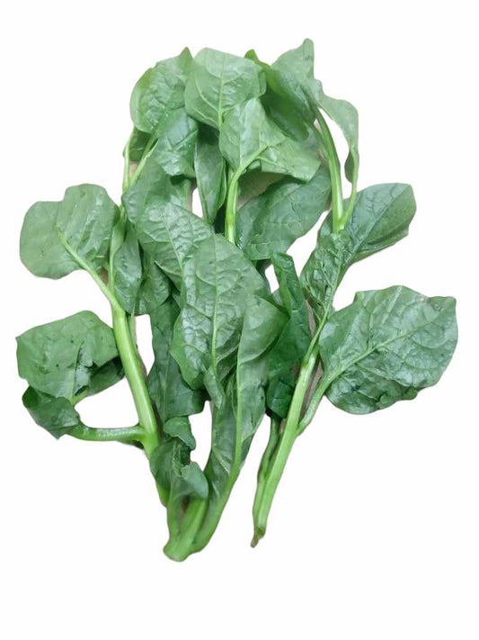 Pooin Shak- Shag Seed Open Pollination