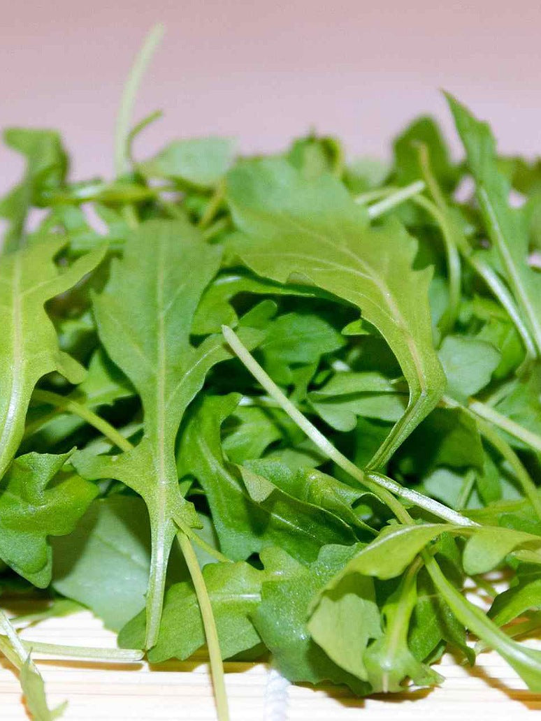 Rocket Sauvage Seeds