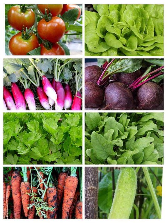 Salad vegetables combo Pack (8 Vegetables)