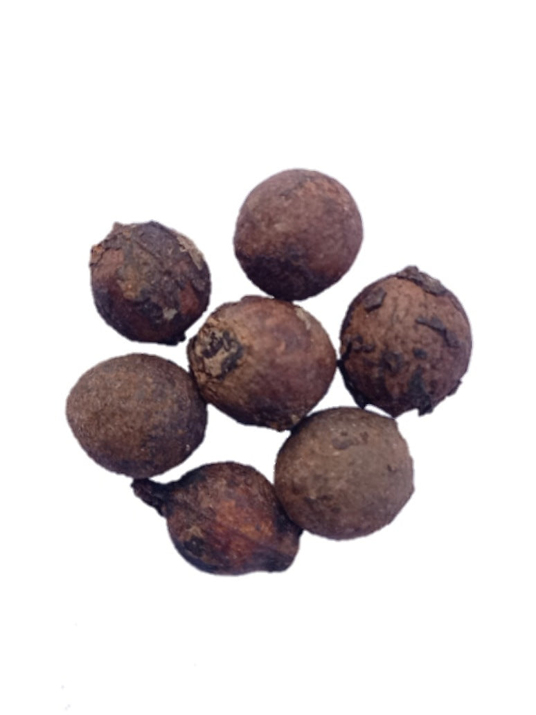 White Sandal seeds- safed Chandan Seeds