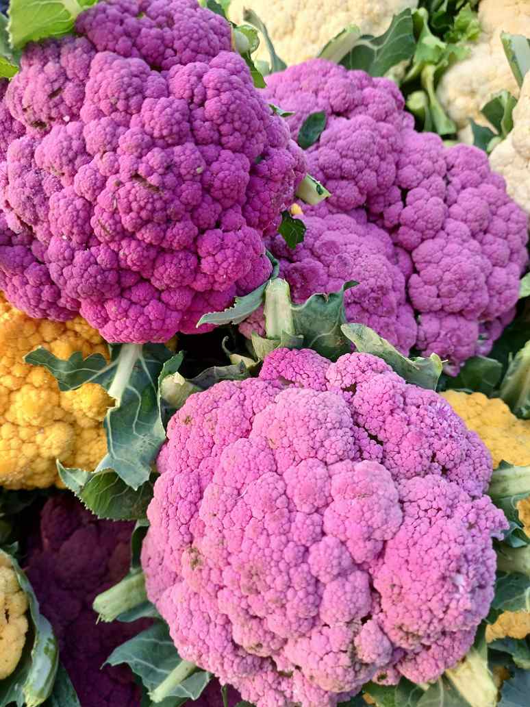 Cauliflower Purple -Hybrid Seeds