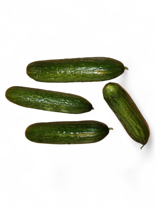 Cucumber Emerald-Open Pollination Seeds