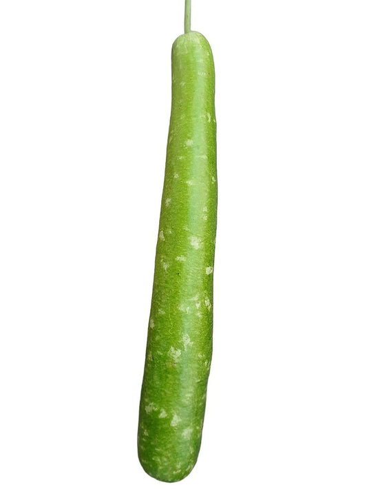 Bottle Gourd Speckled Long Green White-Open Pollination seeds