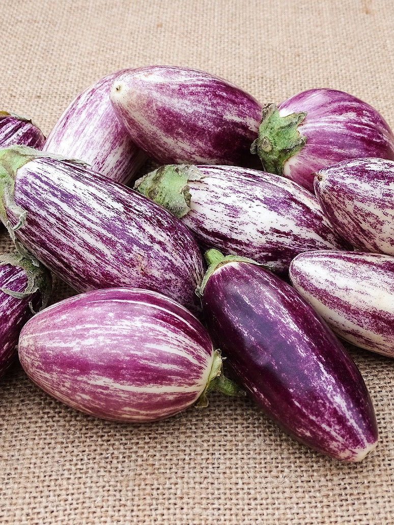 Brinjal Small White Purple -Hybrid Seeds