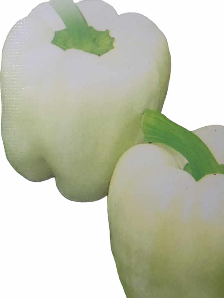 Capsicum White - Hybrid Seeds 