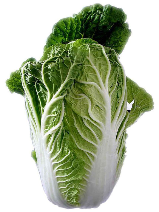 Chinese Cabbage -Open Pollination Seeds