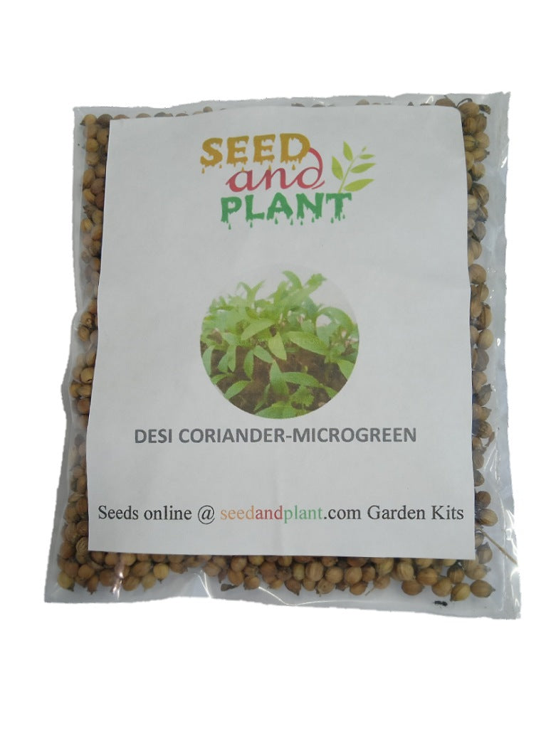 Desi-Coriander (Dhaniya)-Microgreen Seeds -Open Pollination