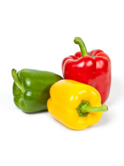 Capsicum Mix Color Three Varieties - Open Pollination Seeds