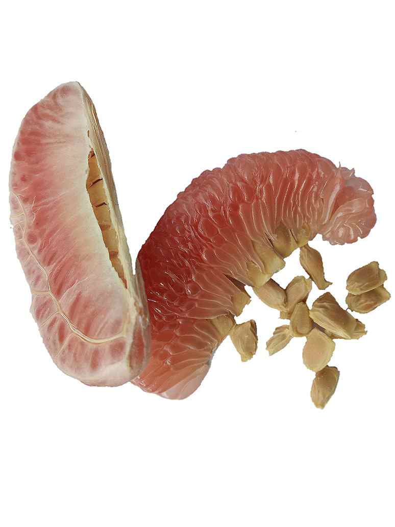 Pamelo Fruit (Gagal phal ) Seeds