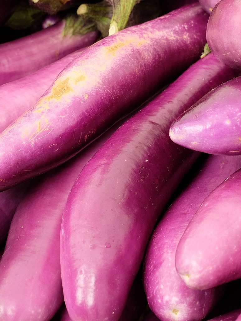 Pink Thick Long Brinjal Seed Open Pollination