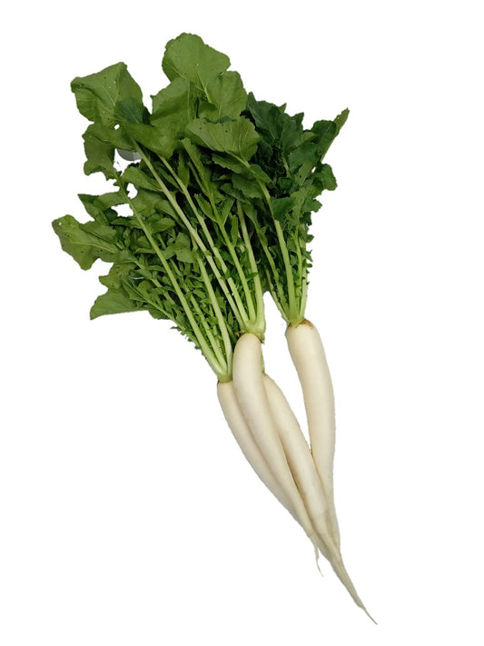 Radish Long Newar variety - Hybrid Seeds