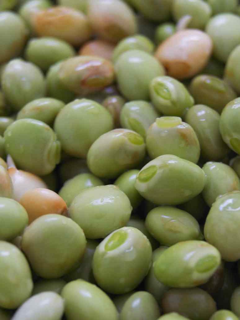 Thogare Vegetable- Hybrid Seeds