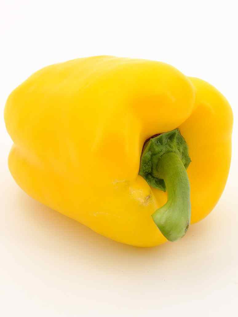 Yellow Capsicum Seeds-(Open Pollinated) – seed and plant