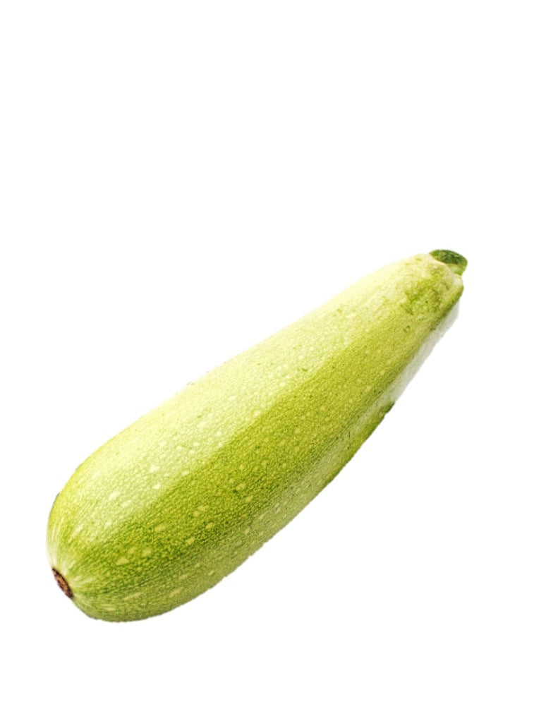 Zucchini Light Green Seed Hybrid